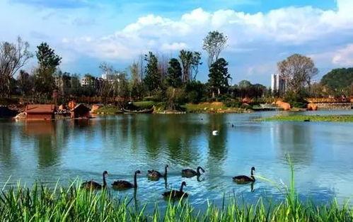 贵州花果园爆料事件最新,揭秘背后真相与影响  第2张